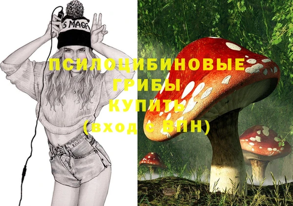 дживик Карталы