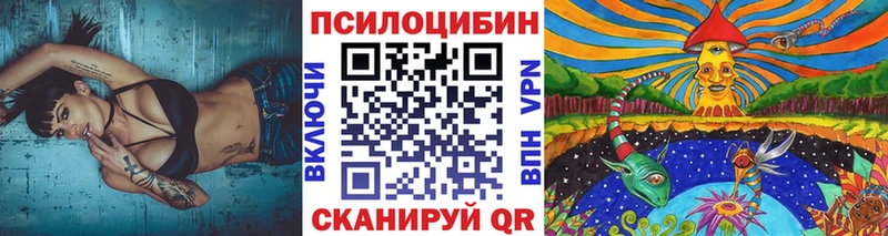 Псилоцибиновые грибы GOLDEN TEACHER  Купить где  Сусуман 